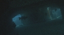 EPAVE, POISSONS