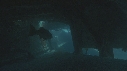 EPAVE, POISSONS
