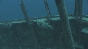 EPAVE, POISSON COFFRE