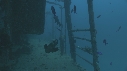 EPAVE, POISSONS