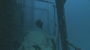 EPAVE, POISSONS