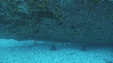 EPAVE, LOCHE