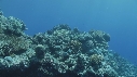 CORAIL