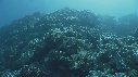CORAIL