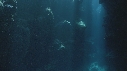 GROTTE TETE