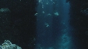 GROTTE TETE