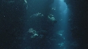 GROTTE TETE