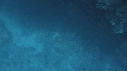 CORAIL