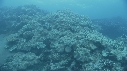 CORAIL