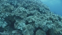 CORAIL
