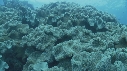 CORAIL