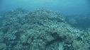 CORAIL