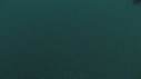 MEDUSE GEANTE