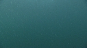 MEDUSE GEANTE, PLONGEUR