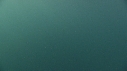 MEDUSE GEANTE