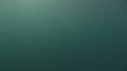 MEDUSE GEANTE