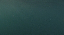 MEDUSE GEANTE