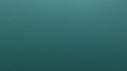 MEDUSE GEANTE