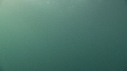 MEDUSE GEANTE