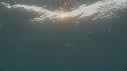 MEDUSE GEANTE