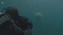 MEDUSE GEANTE, PLONGEUR