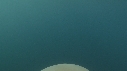MEDUSE GEANTE