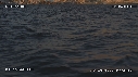 PAYSAGE, BEAUTYSHOTS