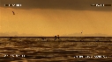 BATEAU, FILET, OISEAUX