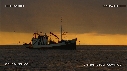 BATEAU, FILET, OISEAUX