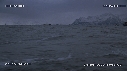 WHALE, WATCHING
