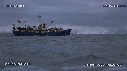 WHALE, WATCHING