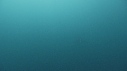 DAUPHINS PACIFIC