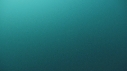RORQUAL COMMUN