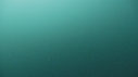 DAUPHINS PACIFIC