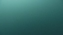 DAUPHINS PACIFIC