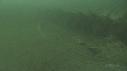 CIMETIERE DE BALEINE