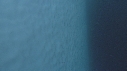 ICEBERG, PLONGEUR, PHOQUE