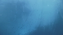 ICEBERG