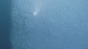 PLONGEURS, ICEBERG