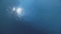 PLONGEURS, ICEBERG