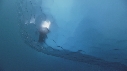 PLONGEURS, ICEBERG