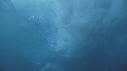 ICEBERG
