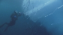 ICEBERG, PLONGEUR