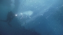 ICEBERG, PLONGEUR
