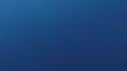 DAUPHINS TACHETES