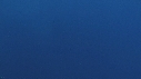 DAUPHINS TACHETES