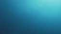 RAIE MANTA, REMORA