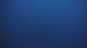 REQUIN BALEINE