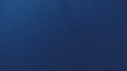 REQUIN BALEINE, FILET