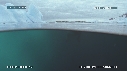 PHOQUE LEOPARD, ICEBERG